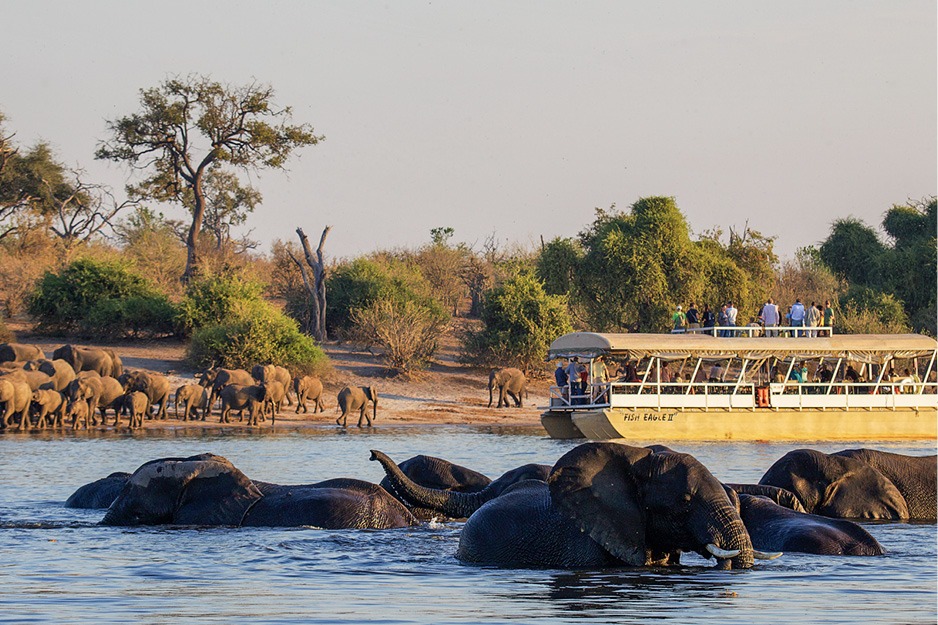 Exploring South Africa, Victoria Falls, and Botswana